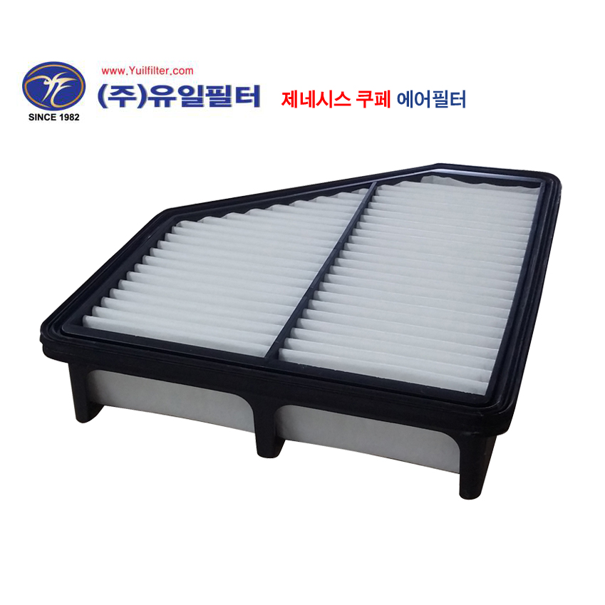 제네시스 쿠페  (A)