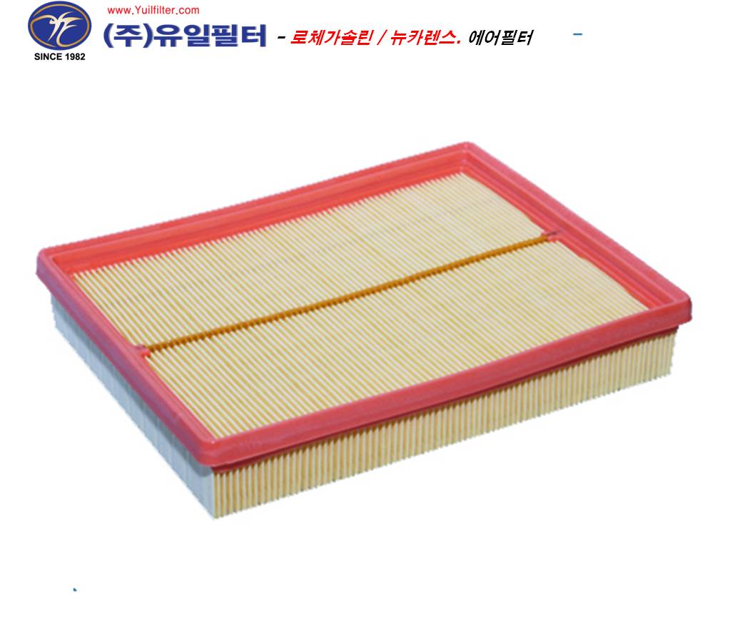 로체가솔린 / 뉴카렌스 (A)