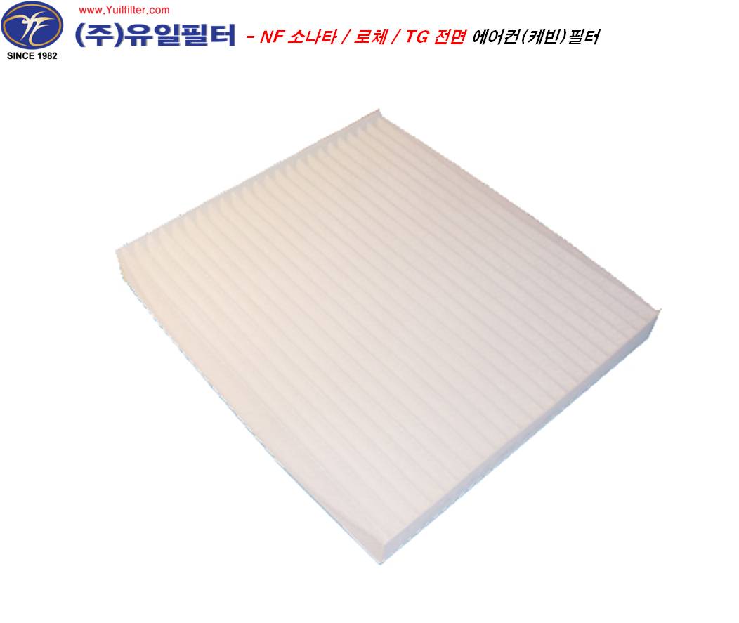 NF소나타 / 로체 / 그랜저TG / 싼타페CM   (C)