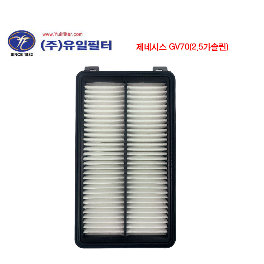 제네시스 GV70(2.5가솔린) (A)